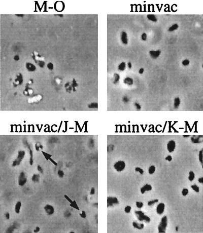 FIG. 5