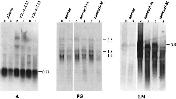 FIG. 6