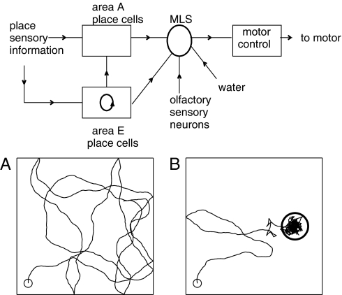 Fig. 1.