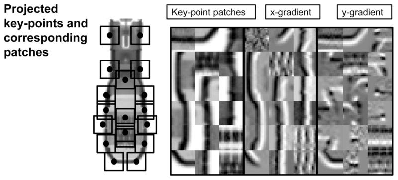 Fig. 3