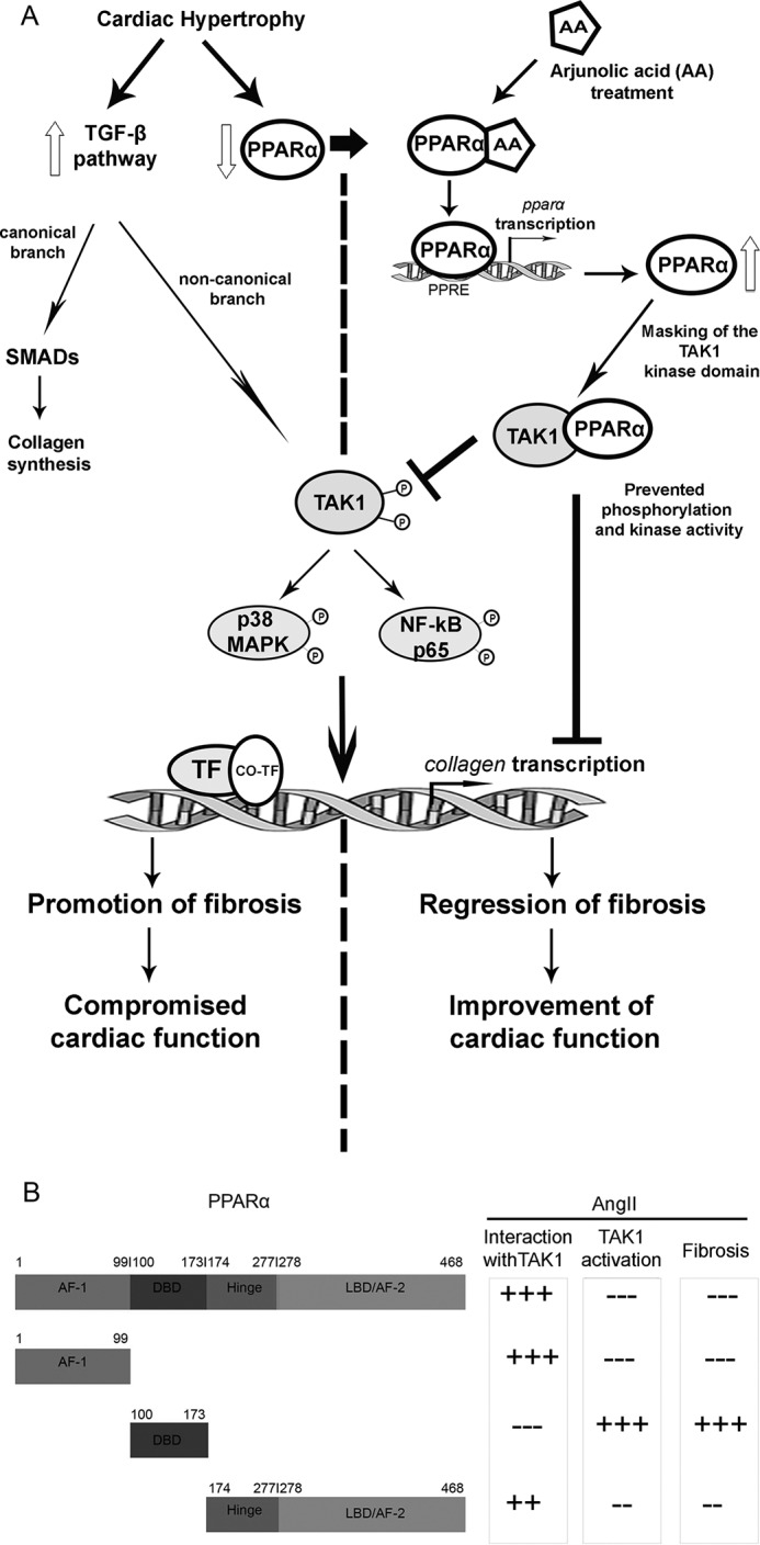 Figure 9.