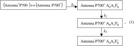 graphic file with name biophysj00050963S01_LW.jpg