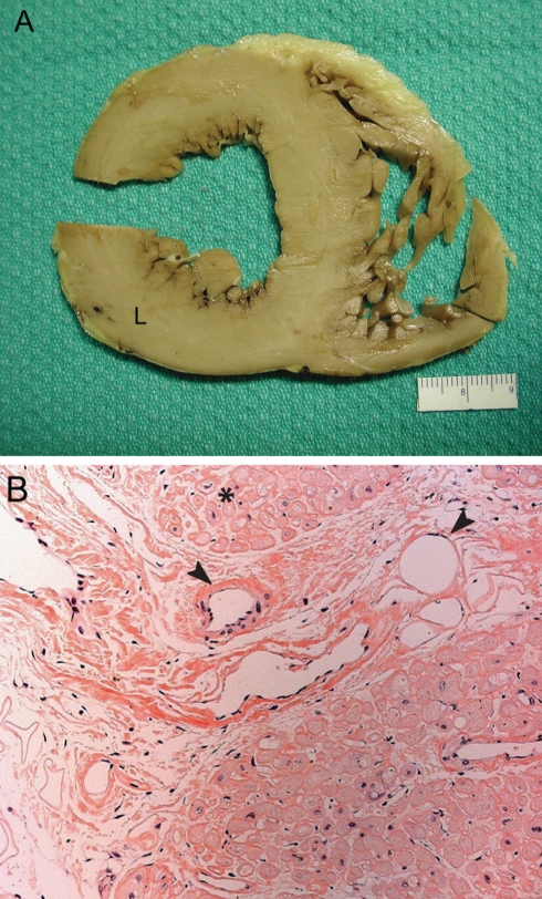 Figure 3)