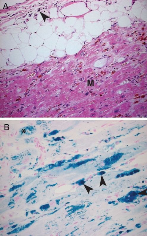 Figure 5)