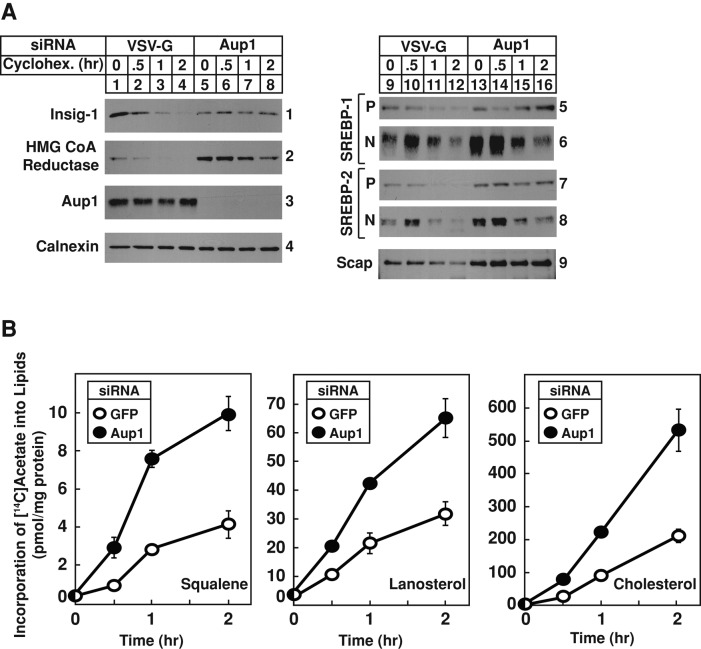 FIGURE 3: