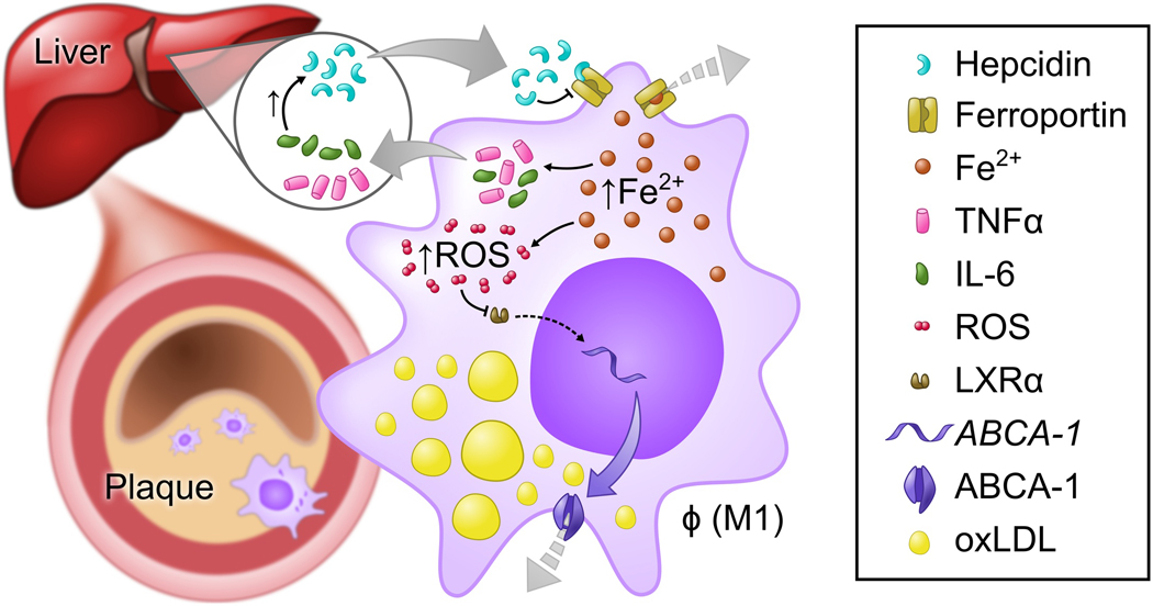 Figure 2.