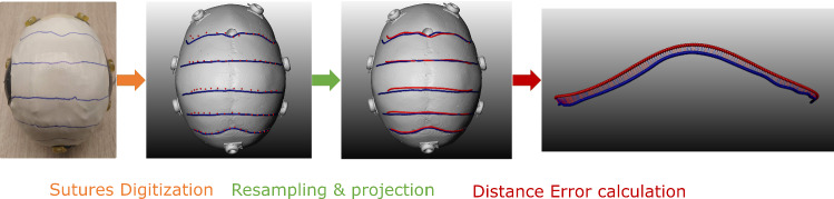 Fig. 6