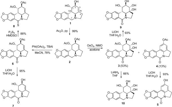 Scheme 1