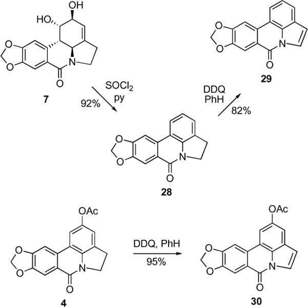 Scheme 5