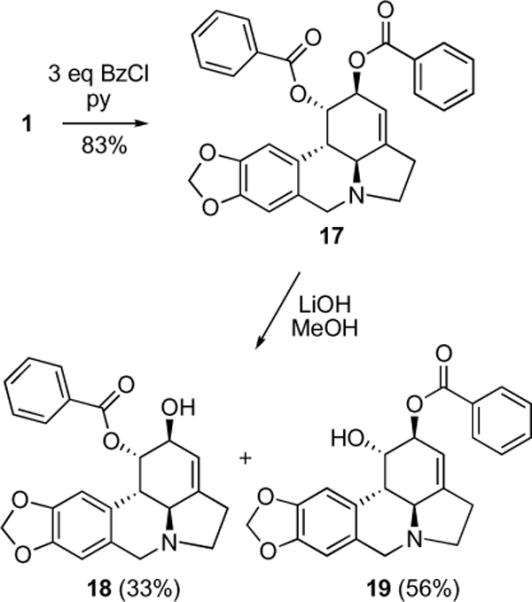 Scheme 4