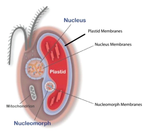 Figure 5