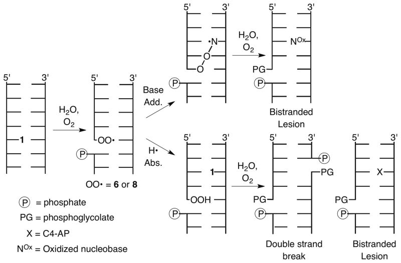 Scheme 2