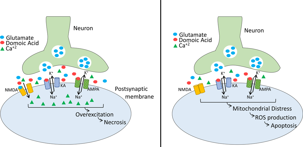 Figure 2: