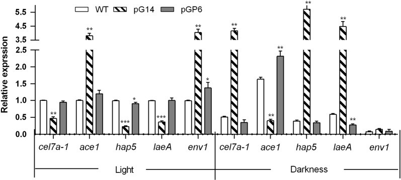 Fig. 4