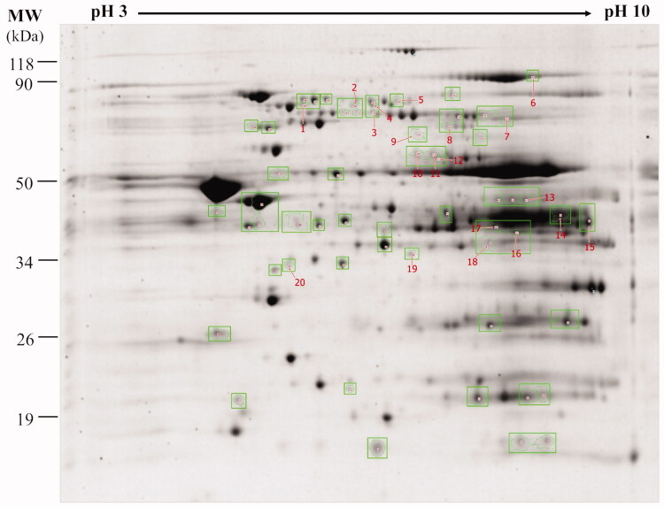 Figure 4.