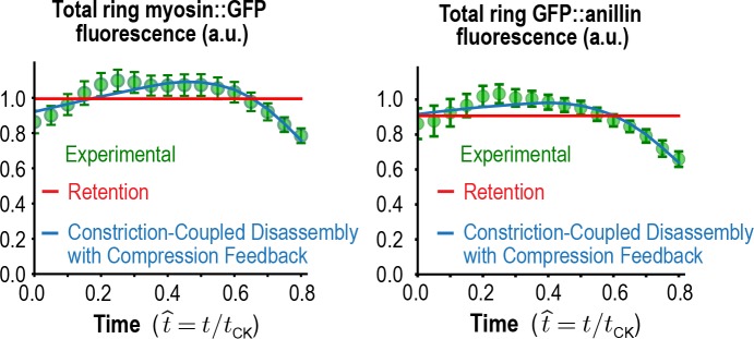 Figure 5—figure supplement 1.