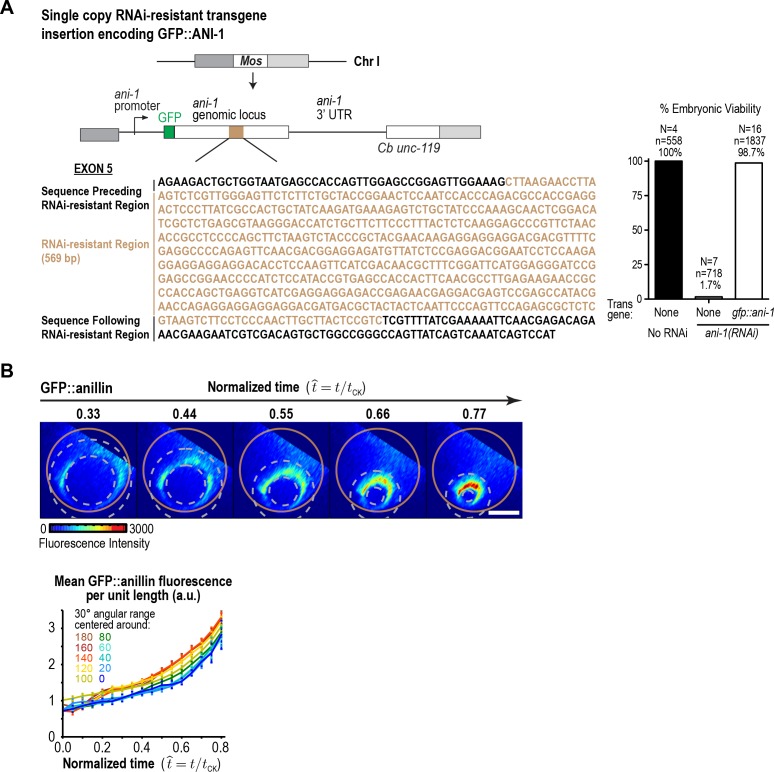 Figure 3—figure supplement 2.