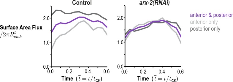 Figure 3—figure supplement 1.