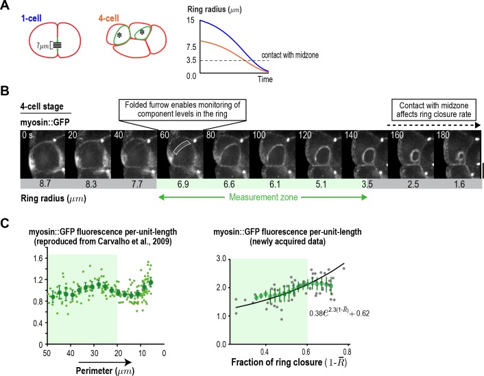 Figure 3—figure supplement 4.