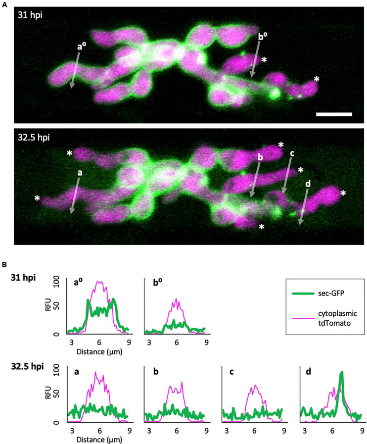 FIGURE 3