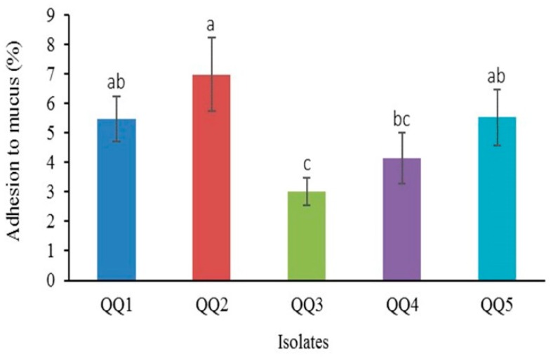 Figure 9