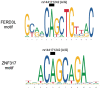 Figure 4—figure supplement 1.