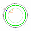 Figure 3—figure supplement 2.