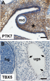 Figure 8—figure supplement 1.