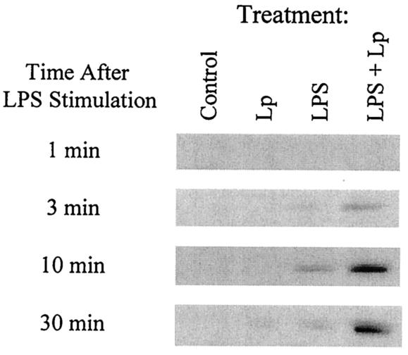 FIG. 2.