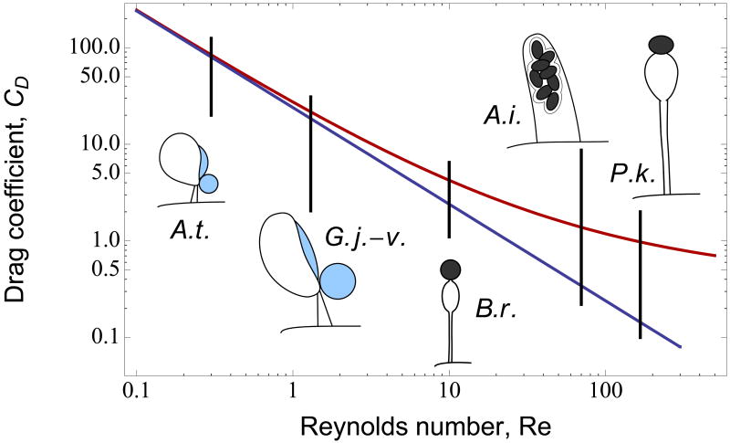 Fig 3