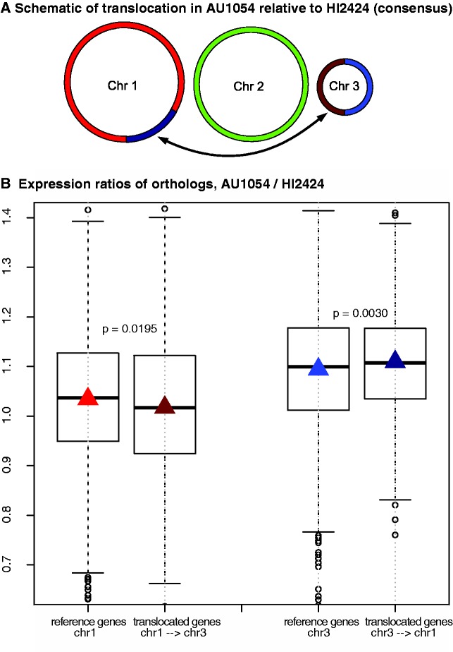 Fig. 2.—