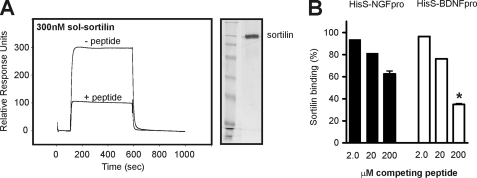 FIGURE 9.