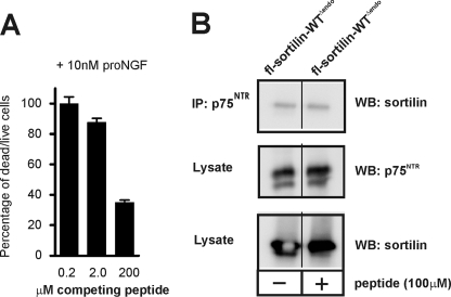 FIGURE 11.