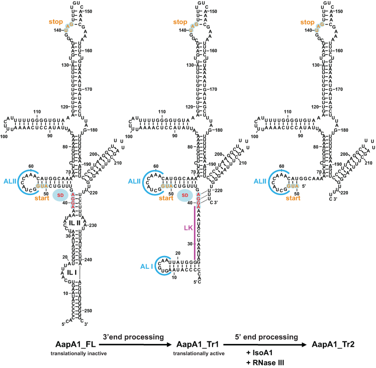 Figure 5.