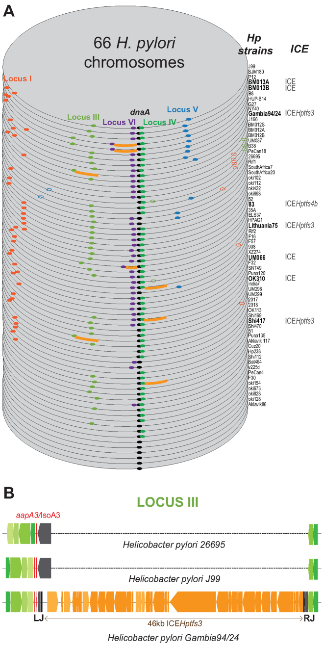 Figure 7.