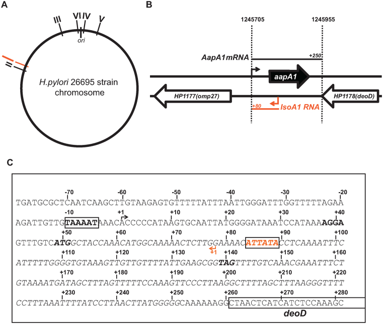 Figure 1.