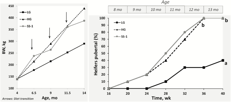 Figure 5.