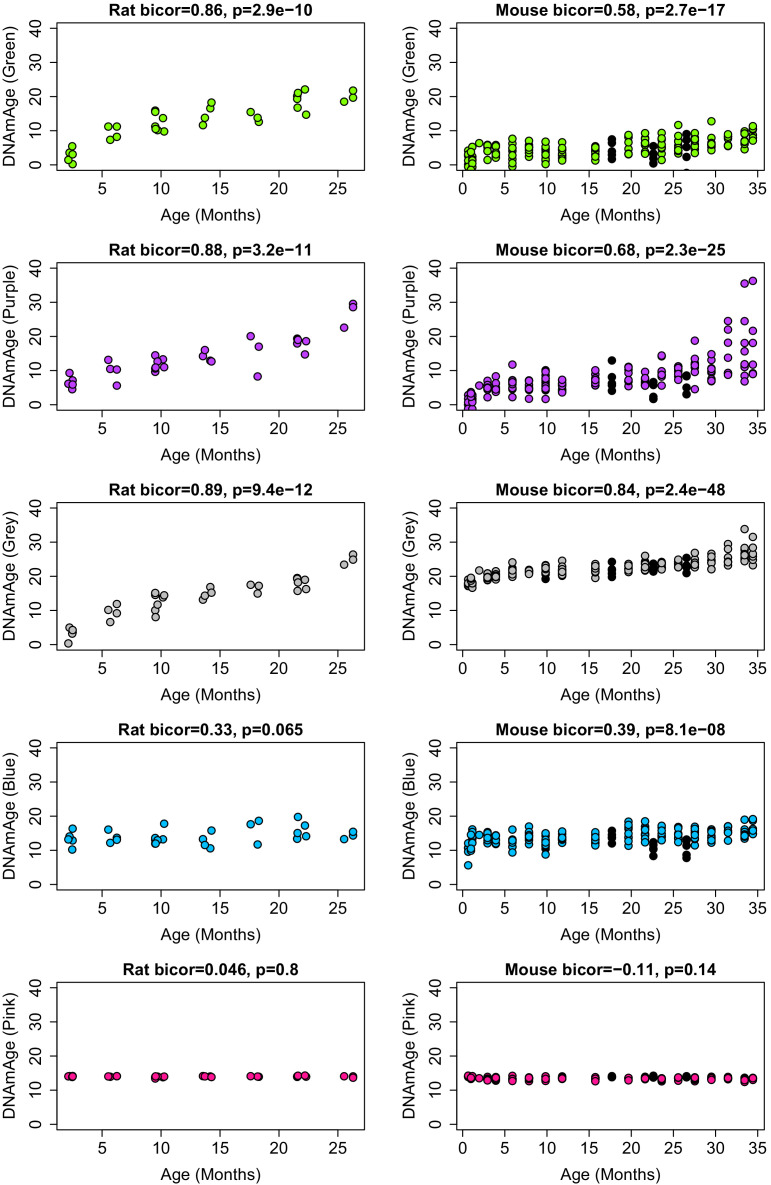 Figure 4—figure supplement 2.