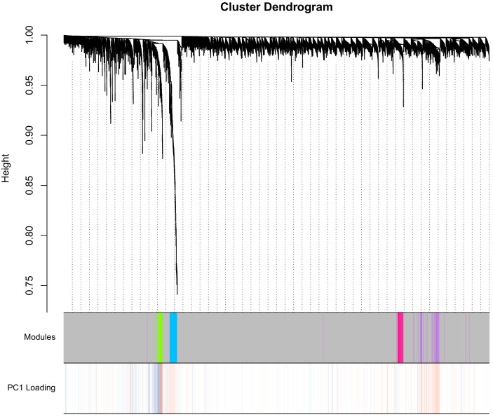 Figure 4—figure supplement 1.