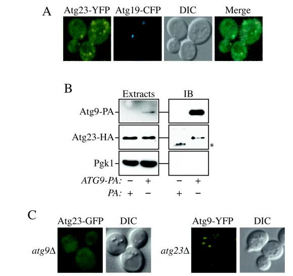 Fig .7