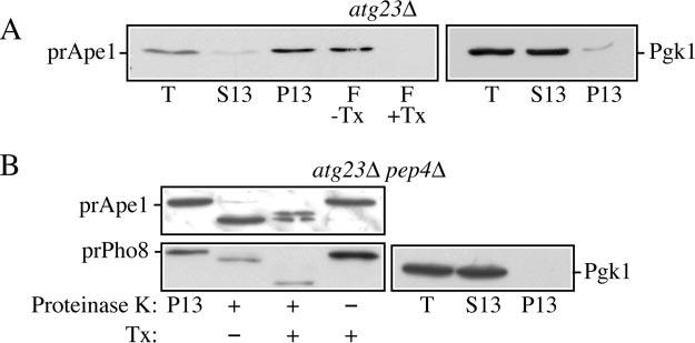 Fig.4