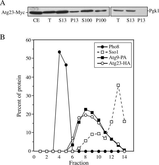 Fig.6