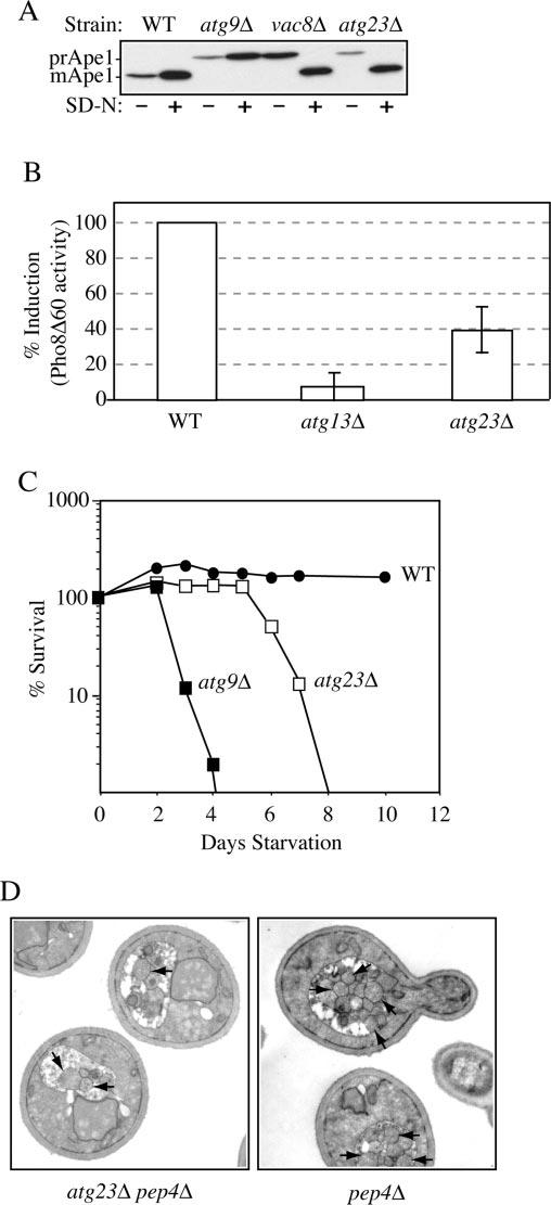 Fig.2