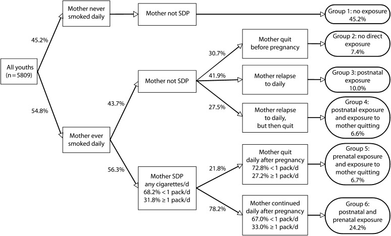 FIGURE 1