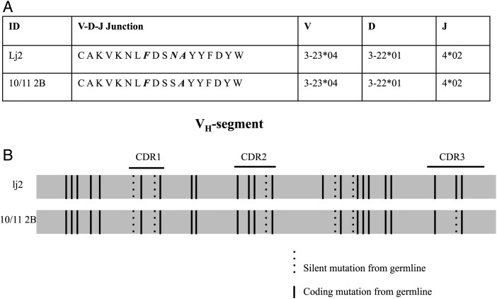 Fig. 3.