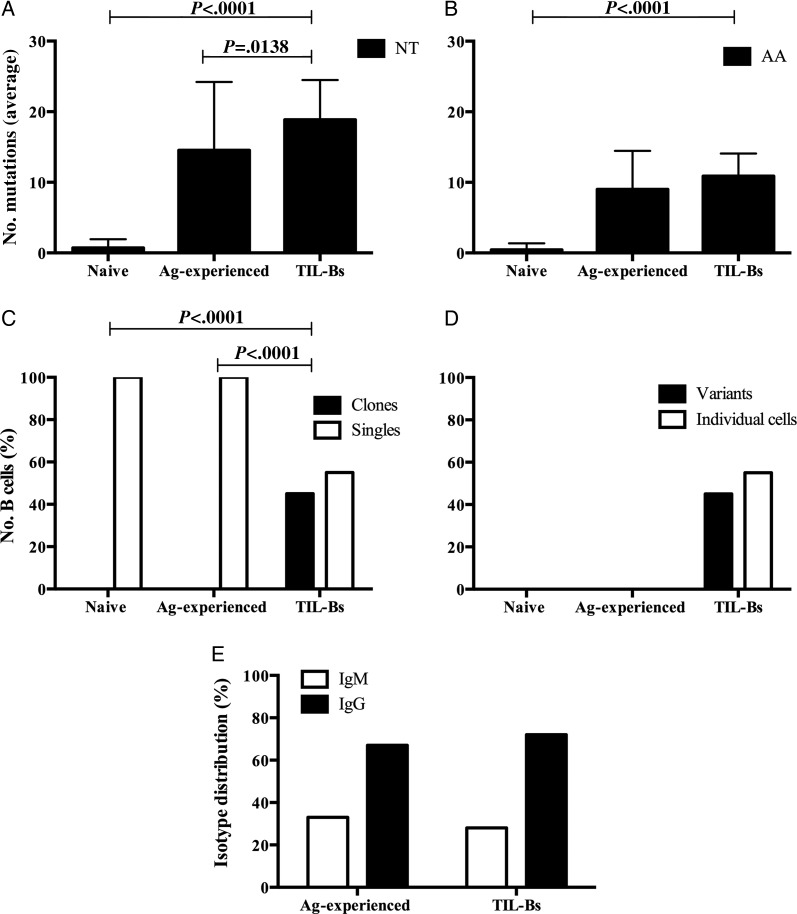 Fig. 2.