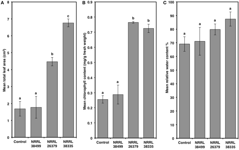 Figure 5