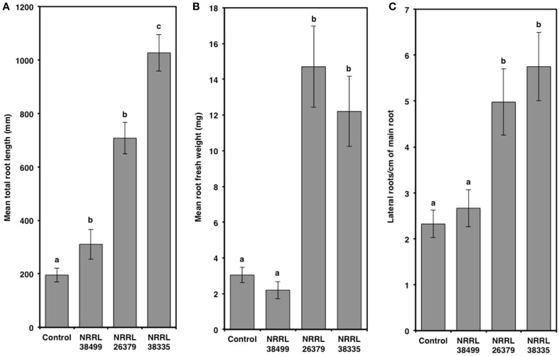 Figure 6