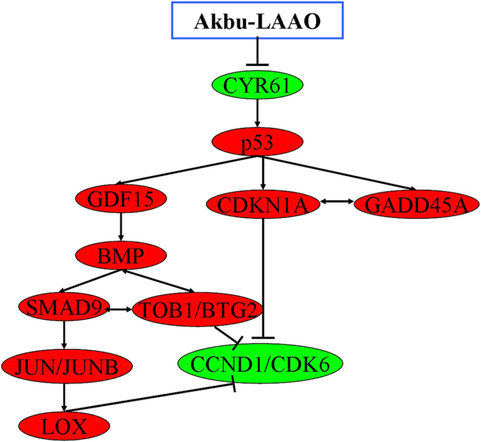 Figure 10