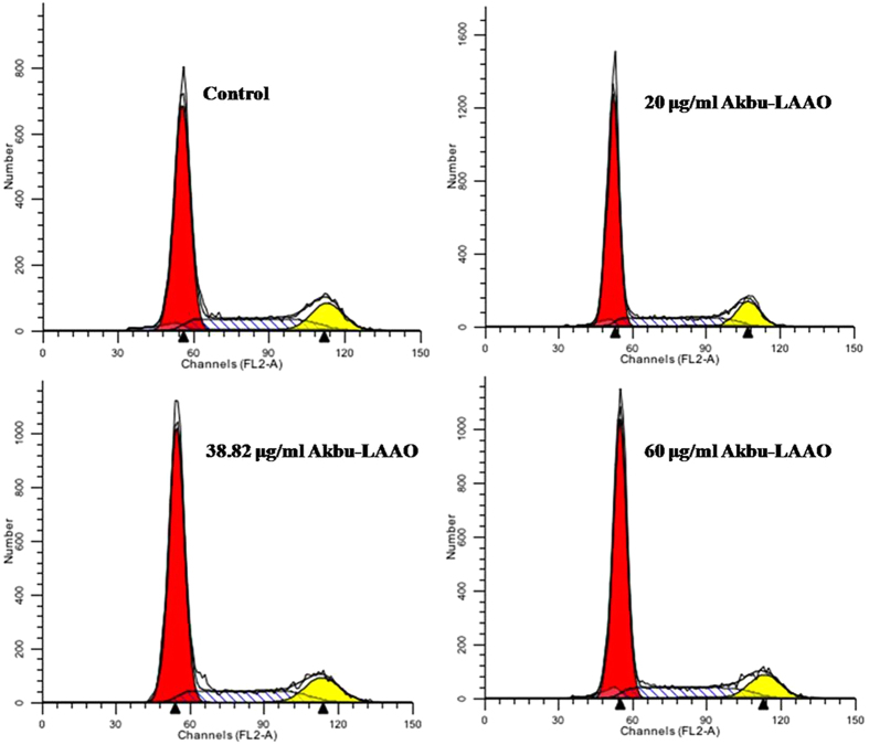 Figure 7